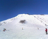 2006.1.1スキー1