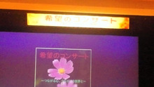 ケイ太のドタバタ奮闘記２-DSC_0244.JPG