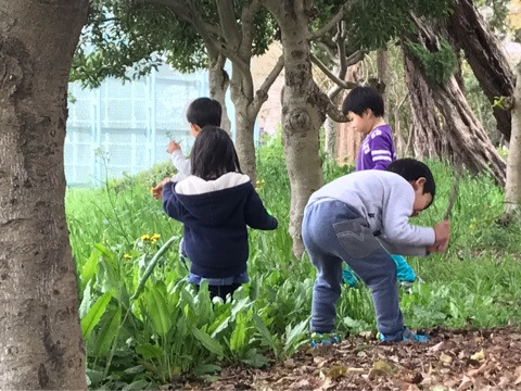 {FAA53313-6E65-4BCA-A4B6-8FAFDEF4215D}