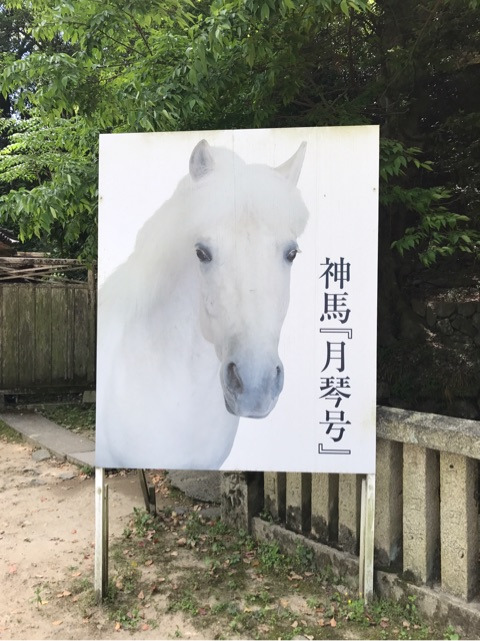 {974A05F7-DF5C-4D62-9A52-76D511C5C005}