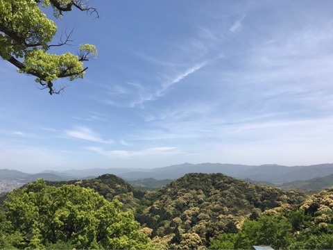 {CE0C9839-FEF3-4F35-A7FA-110556DD4CB3}